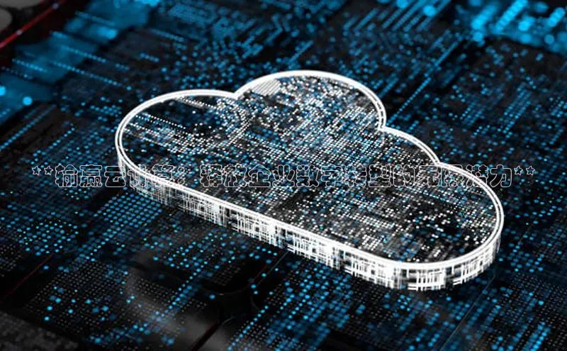 杏鑫注册登录地址文心一言**输赢云计算：释放企业数字转型的无限潜力**