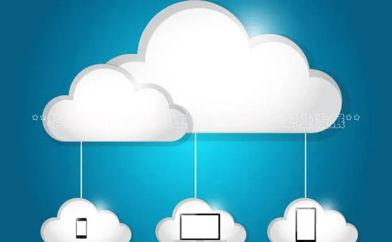 杏鑫平台开户猫眼**华为贵州云计算员工 | 求职指南及职业发展**