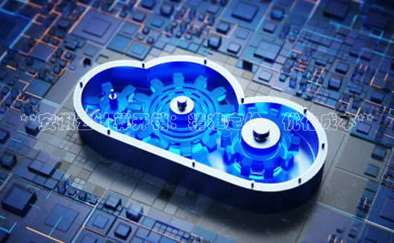 杏鑫平台注册官网知乎**安徽云计算开销：精准定价、优化成本**