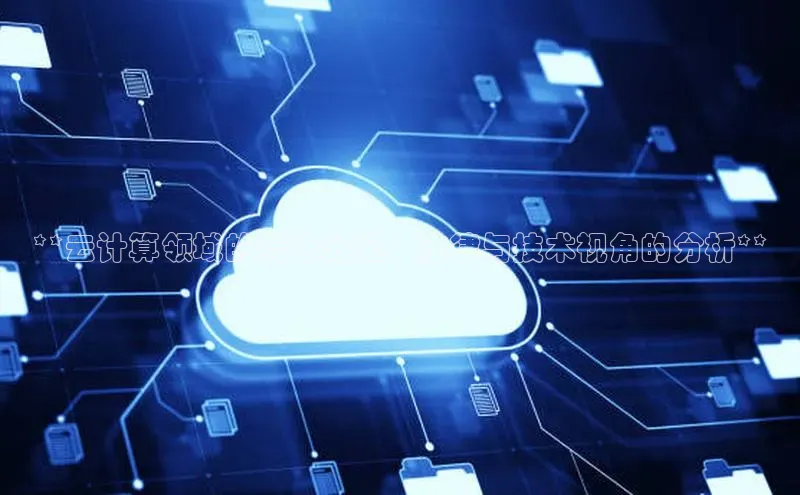 杏鑫平台注册入口百度健康**云计算领域的责任分配：法律与技术视角的分析**