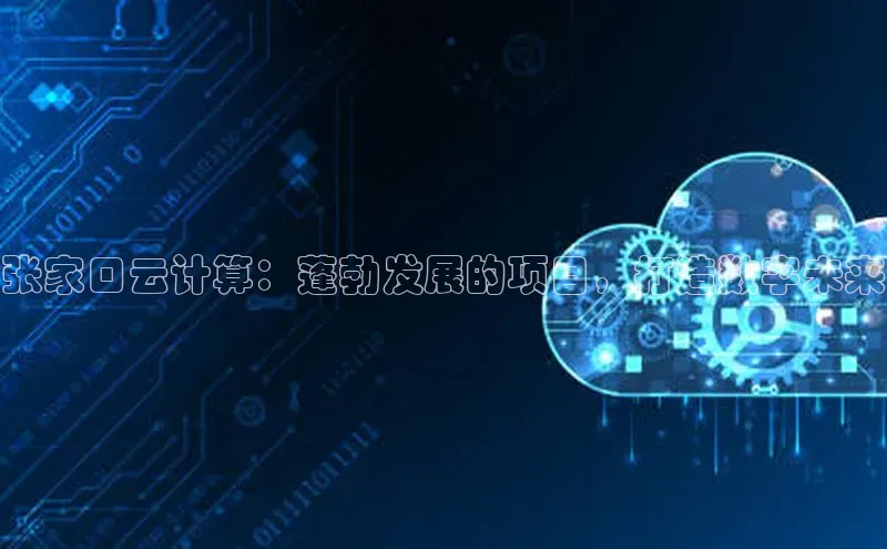 杏鑫彩票官网登录观星盘张家口云计算：蓬勃发展的项目，打造数字未来