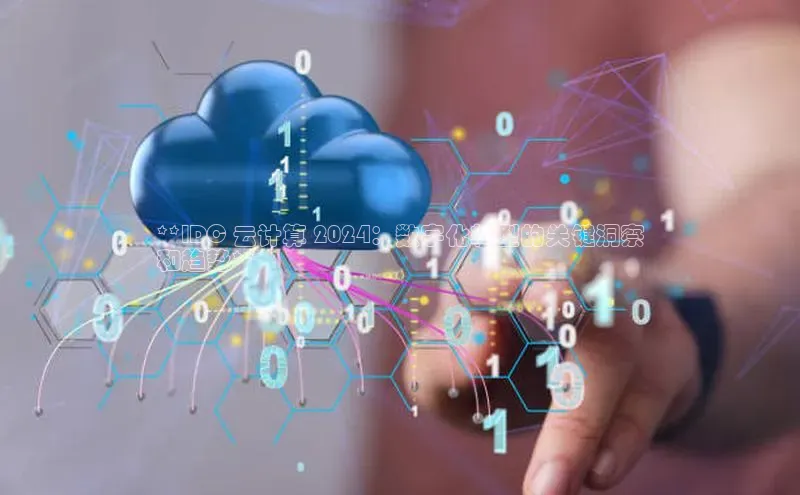 杏鑫平台注册入口百度健康**IDC 云计算 2024：数字化转型的关键洞察
和趋势**