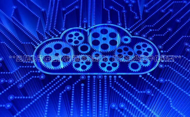 杏鑫登录测速轻美电器**奥尼电子在云计算领域的突破：助力企业数字化转型**