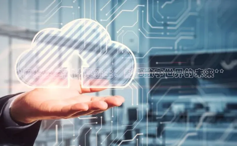 杏鑫注册开户百度众测**网络安全云计算霸主：制定数字世界的未来**