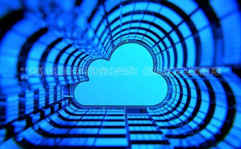 杏鑫平台手机登录入口神思电子**云计算服务的可计量化实例：优化成本并提高效率
**