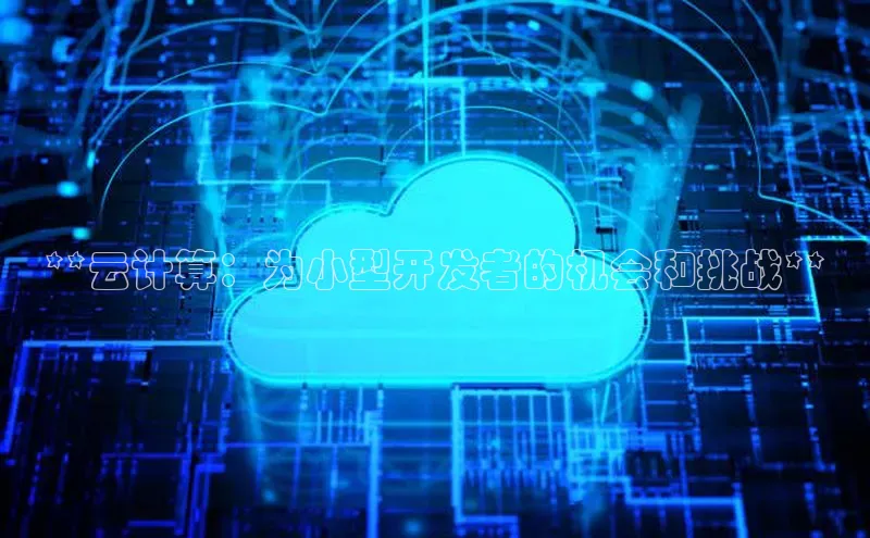 杏鑫彩票官网登录携程**云计算：为小型开发者的机会和挑战**