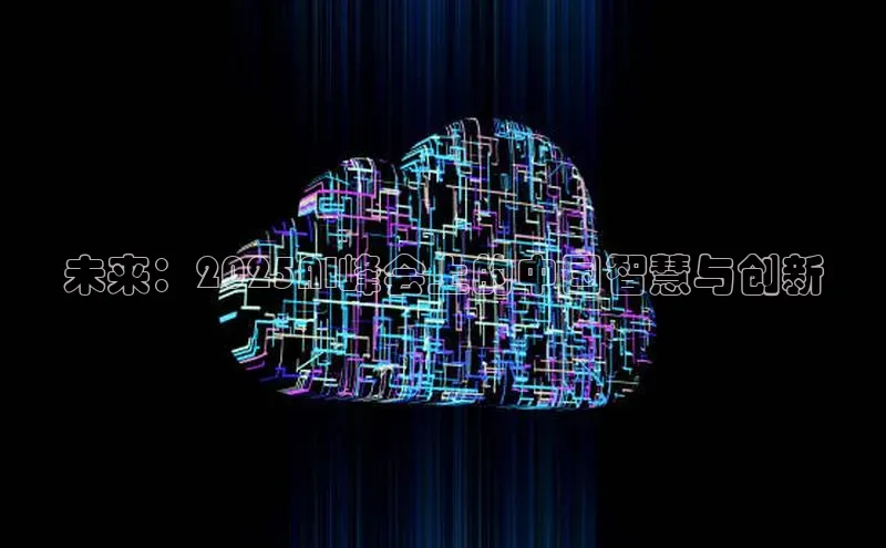 未来：2025AI峰会上的中国智慧与创新